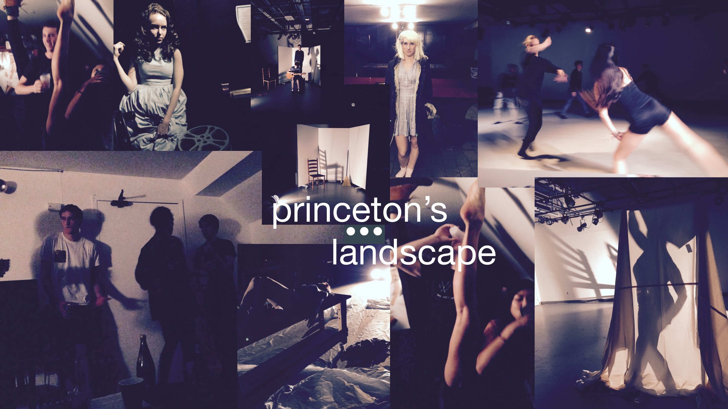 princeton's landscape