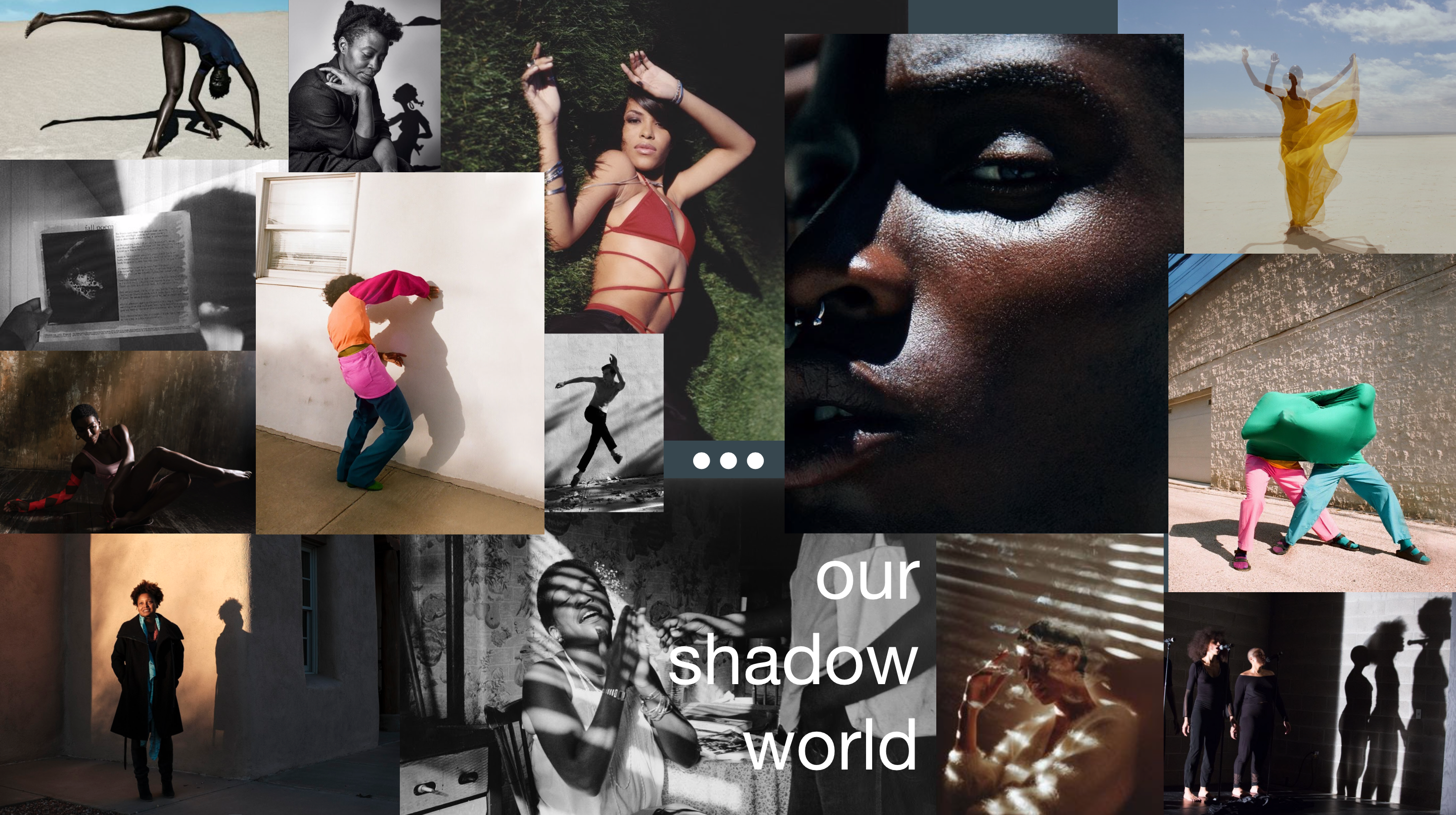 our shadow world